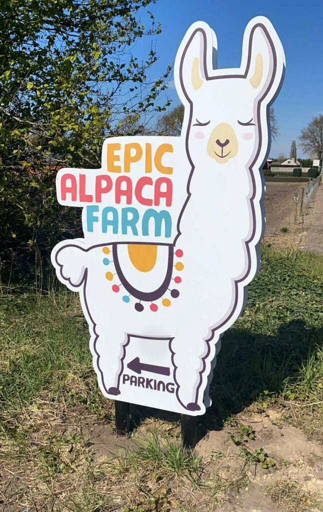 contour gesneden dibond paneel epic alpaca farm
